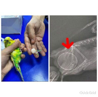 3dbb7299-0f9b-49c0-b424-8759ca5f3427