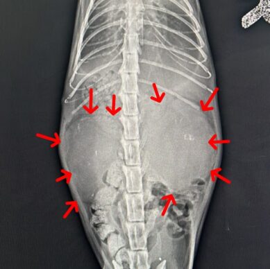 5aa6b537-1e00-413c-a613-2cf05e35add2