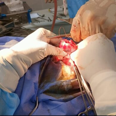 be1b812a-5cc5-4052-8c71-28507a514cd0