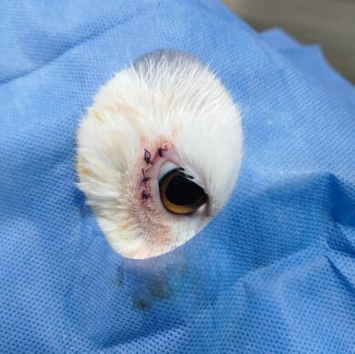 db7ecf17-757e-4514-85ce-dd957bb80f67