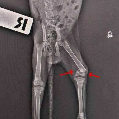 d9196258-d840-40e1-9919-c9c946b2fe30