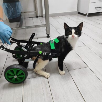 264dac51-3686-4fe7-a537-c930cfd2dd54