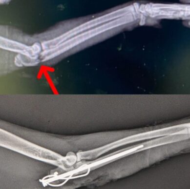 5b588261-89f4-4dac-ba64-eb5fb480ff59