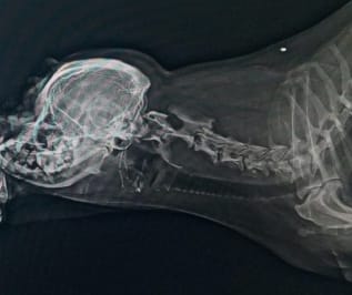 WhatsApp Görsel 2025-10-24 saat 07.57.50_fb941ca2