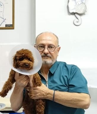 f7aeec44-9b45-450f-a939-fdaa2968c35a