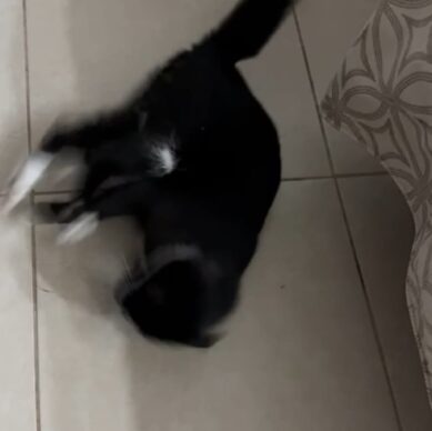 0de30a33-25fc-4790-bbe0-9e4e812c9262