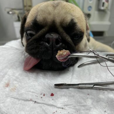 114871a1-d948-4fc1-9eed-f2fbb930346b