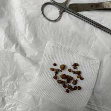 8d29a1cb-7c04-4cfb-909c-41a58ee9f5f1