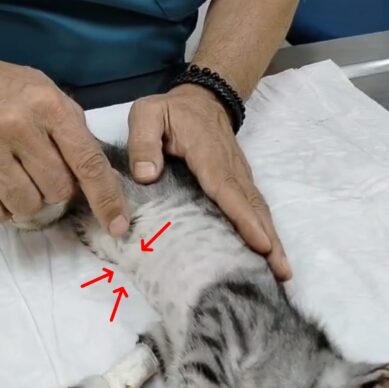 WhatsApp Görsel 2025-11-29 saat 12.13.10_198754f7