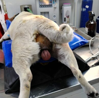 b2360030-c530-4c1e-8e2f-522d6804ee5d