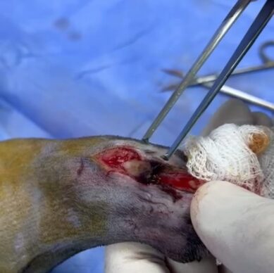 c5e87c78-0abe-4fea-80d7-570ce344d56b