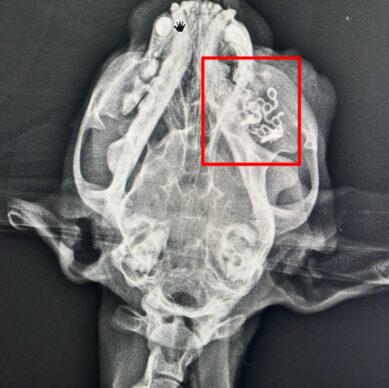 WhatsApp Image 2026-01-26 at 15.06.10