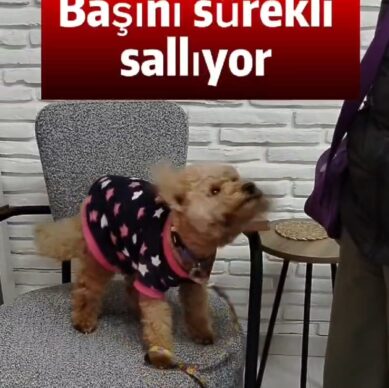 491be145-16c1-43ae-88b4-e9dd15af3281