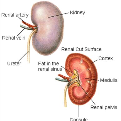 WhatsApp Image 2026-02-20 at 14.53.37