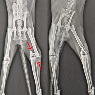 fc6a2c00-fca3-43e6-9dc3-8080347c7443 fc6a2c00-fca3-43e6-9dc3-8080347c7443