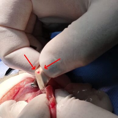 WhatsApp Image 2026-03-03 at 18.49.50 WhatsApp Image 2026-03-03 at 18.49.50