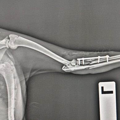 d7d5c554-e202-4044-a661-b04c51e3f7c4 d7d5c554-e202-4044-a661-b04c51e3f7c4