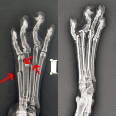 f561689e-e0a7-42f3-8c85-c8b5dd379c95 f561689e-e0a7-42f3-8c85-c8b5dd379c95